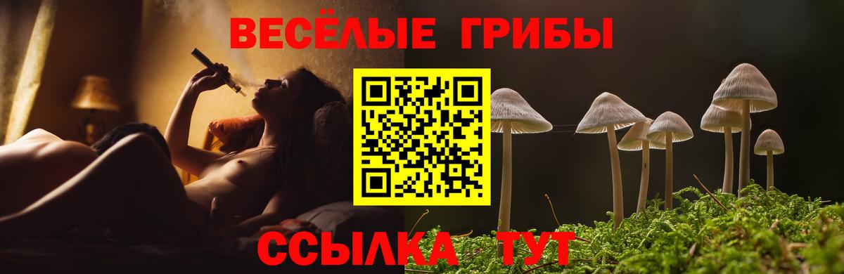 Зима  Галлюциногенные грибы Psilocybe  Вход с VPN 