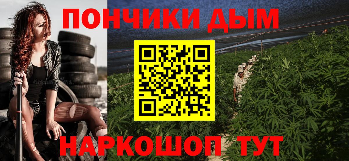 Шишки марихуана марихуана Зима